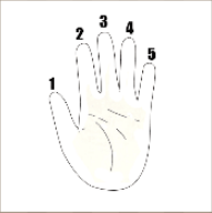 看图猜成语