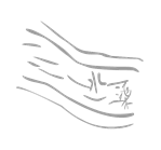 字词猜成语